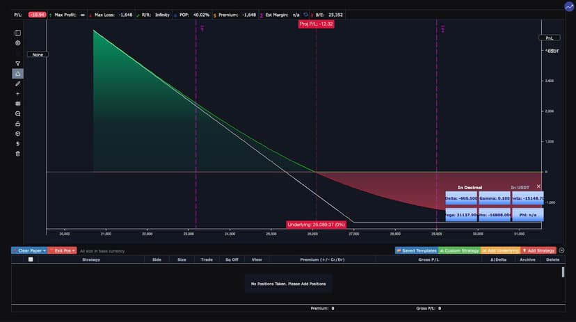 long-put-option-risk-profile
