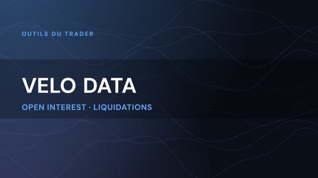 Velo Data (velo.xyz) : le guide complet de la plateforme
