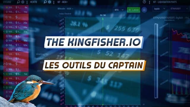The Kingfisher: How to Spot Crypto Liquidation Zones
