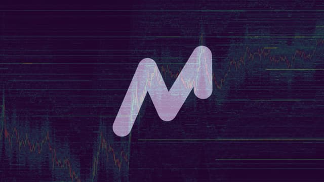 Market Monkey Terminal: The Complete Order Flow Guide