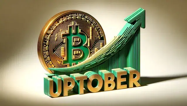 uptober crypto bullrun 2024 adam back