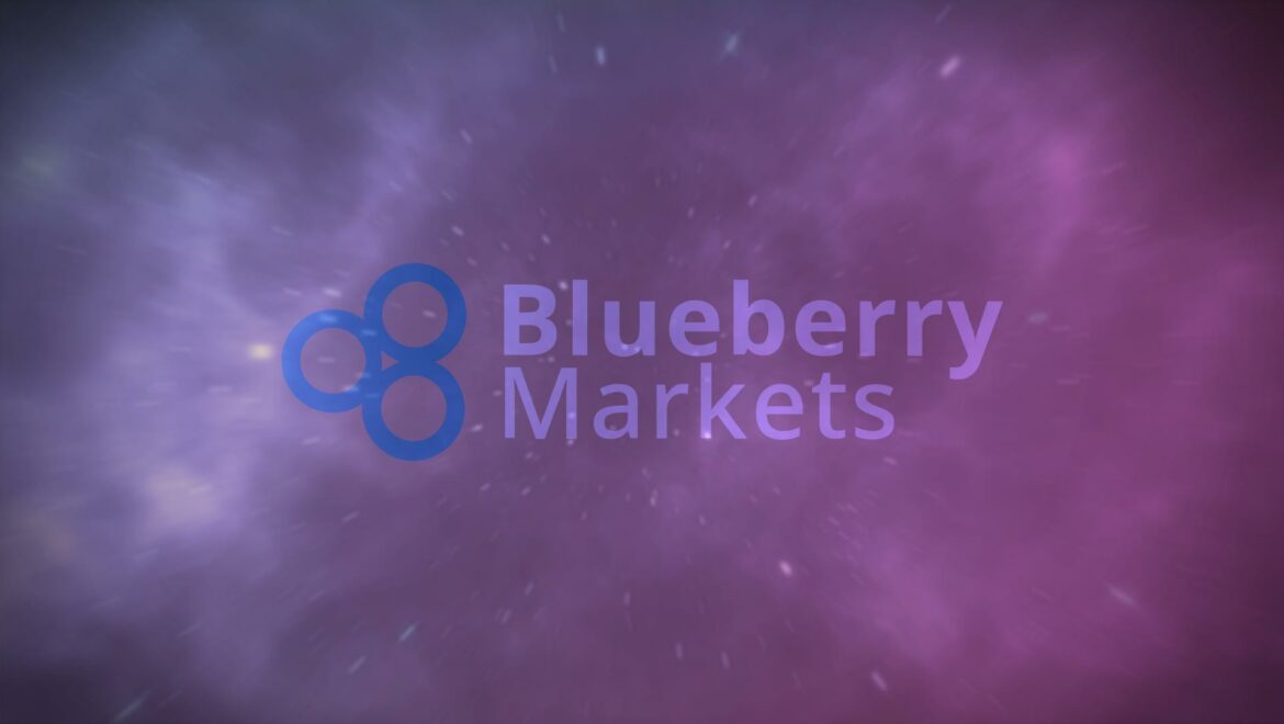 blueberry markets avis